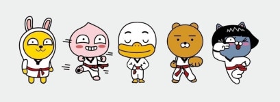 용인대한얼태권도