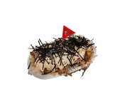 오꼬다꼬 전대후문점