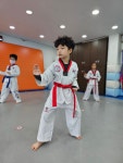 한국체대한성태권도