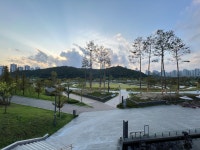 삼정그린코아더시티 335호