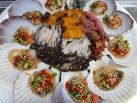 산오징어눈빠지는날