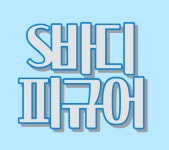 S바디피규어 피부 체형관리