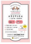 몽글펫살롱