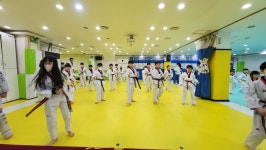 석사경희대태권도