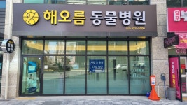 해오름동물병원