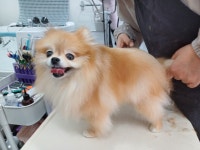 꾸앤쏭
