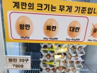참 좋은계란할인점 대구신천점