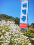 메밀촌