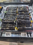 웰빙꼬마김밥