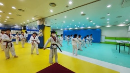석사경희대태권도