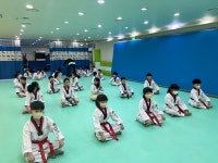 석사경희대태권도