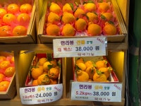 제주섬분식