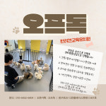 오프독 반려견 종합교육문화센터