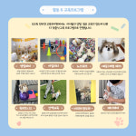 오프독 반려견 종합교육문화센터