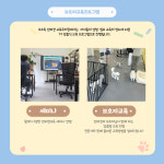 오프독 반려견 종합교육문화센터