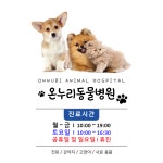 온누리동물병원