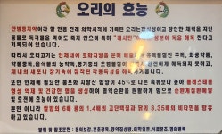 낙동생오리 수성못점