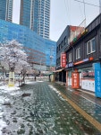 샘터공인중개사사무소