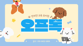 오프독 반려견 종합교육문화센터
