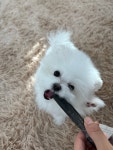 헤이독 김포점