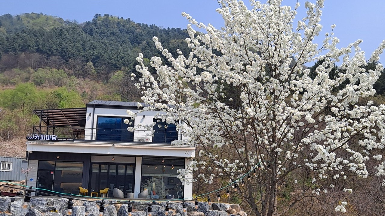 커피마당