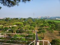 조은식물원
