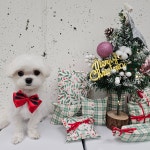 멍반장 파주 본점