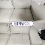 클리닝데이