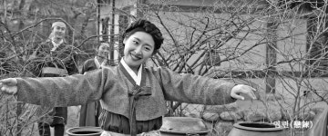 나도밤보