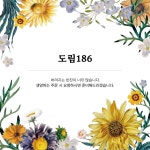 도림186