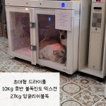 뽀송이네목욕탕
