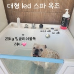 뽀송이네목욕탕