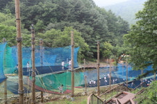놀자숲