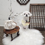 멍반장 파주 본점