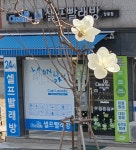 크린업24 상봉점