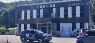 가자펫택시