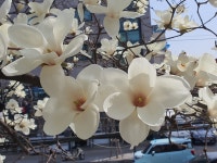 크린업24 상봉점