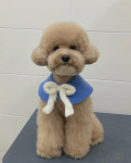 러브몽먼트
