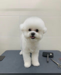 러브몽먼트