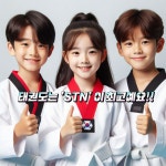 STN태권도장&한국파워점핑줄넘기클럽