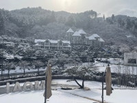 모아이카페