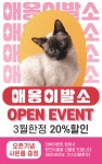 부산고양이미용 애옹이발소