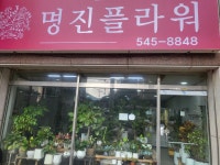 명진플라워