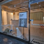 멍자와홍자네 DogDog Salon