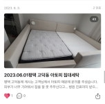 경력20년 화이트크린