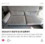 경력20년 화이트크린