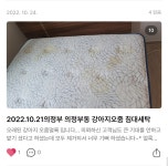 경력20년 화이트크린