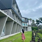 더비비스제주