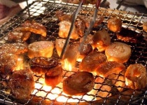 막창굽는 연탄할매 소하점