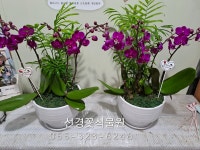 선경꽃식물원 김해꽃집